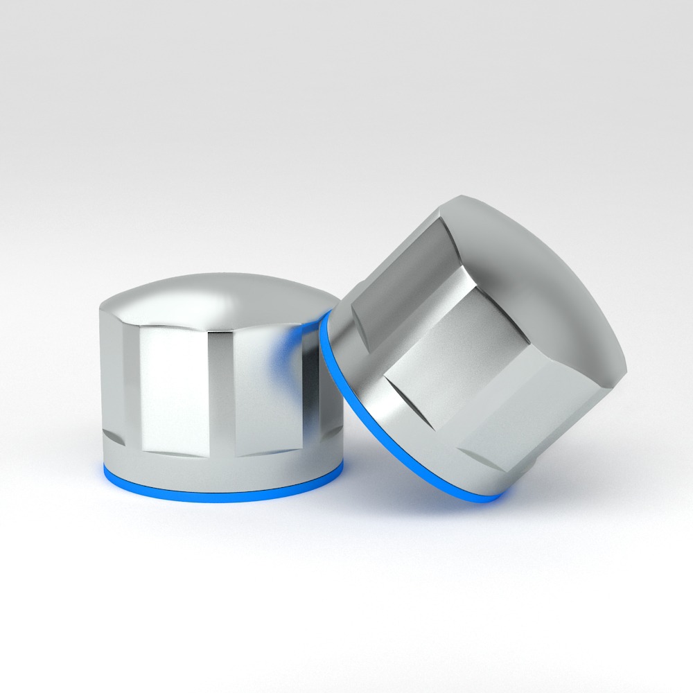 EHEDG 3A Hygienic nut in stainless steel 1 EHEDG 3A Hygienic nut in stainless steel