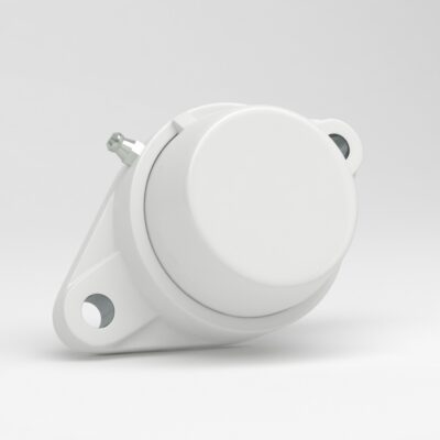 Oval 2 bolt flange FLPL ball bearing units